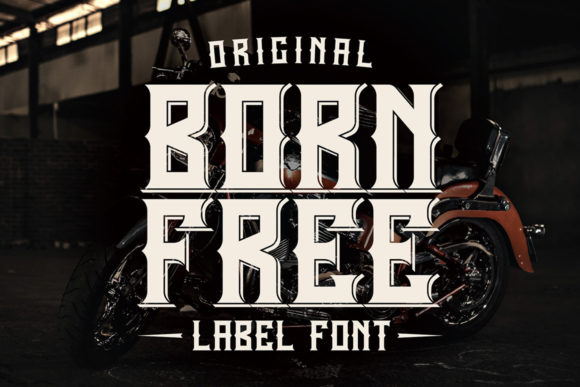 Born Free: Unleashing Bold Retro Style in Your Designs